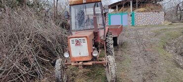 диски литые r14 5 5: Трактор Belarus (MTZ) t25, 1988 г., 25 л.с., мотор 2.5 л, Б/у