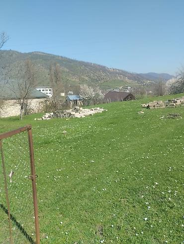 kiraye ile satilan evler: Dağ mənzərəli torpaq sahəsi və köhnə tikili - Geniş yaşıllıqla — 8