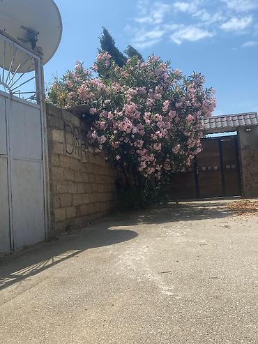 bilgehde torpaq satilir: 5 sot, Mülkiyyətçi, Bələdiyyə — 1