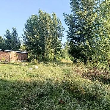 samux rayon: Salam İsmayıllı rayonu da torpaq sahəsi satılır istəyən olsa əlaqə — 3