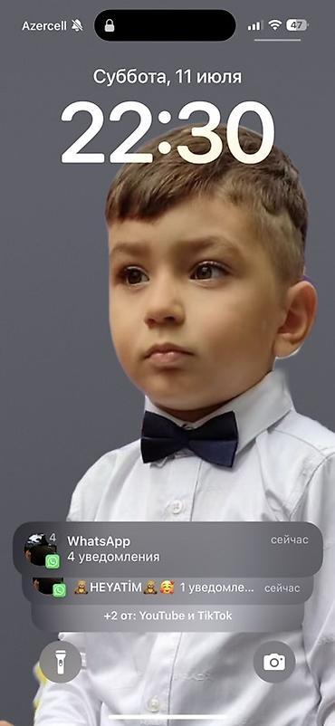 pişik kartinka: Ищу няню локация Бюль Бюля — 1
