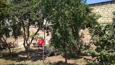 Torpaq sahələrinin satışı: 3 sot, Tikinti, Maklerlər narahat etməsin, Kupça (Çıxarış) -da lalafo.az — 8 Torpaq sahələrinin satışı: 3 sot, Tikinti, Maklerlər narahat etməsin, Kupça (Çıxarış) — 8