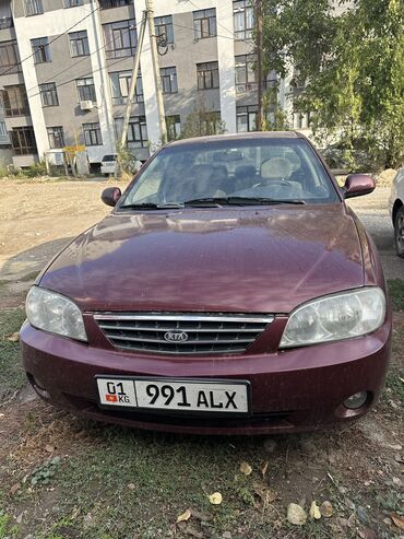 киа машына: Kia Spectra: 2008 г., 1.6 л, Механика, Бензин, Седан