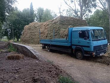 саната уф: Mercedes-Benz : 1997 г., 6 л, Механика, Дизель, Универсал — 4