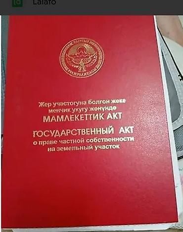 3 room flat: Красная книга — 1