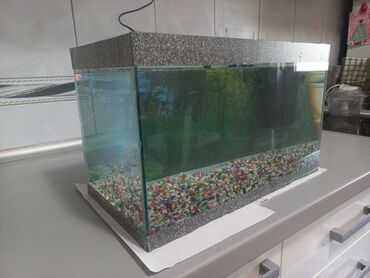 Akvariumi: AKVARIJUM za ribice dimenzija: D-40cm Š-21cm V-24,5cm sa dvodelnim — 7