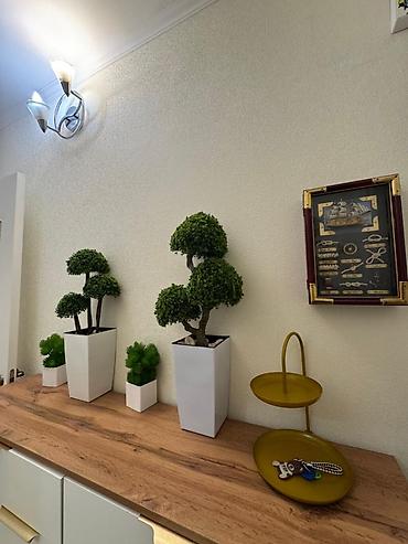 Продажа квартир: 3 комнаты, 58 м², 104 серия, 4 этаж, Косметический ремонт — 7