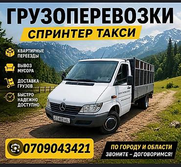 дизел доставка: Грузоперевозки в Талас +70бласть. Доставка любых вещей на фургоне — 1