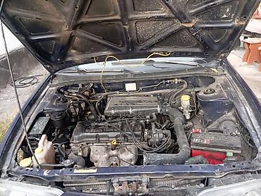e klass: Nissan Almera: 1997 г., 1.4 л, Механика, Бензин, Хэтчбэк — 6