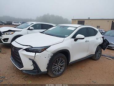 inter: Lexus NX: 2022 г., Автомат — 2