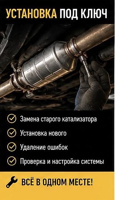 thinkdiag 2: Услуга: установка каталитического нейтрализатора под ключ Что — 1
