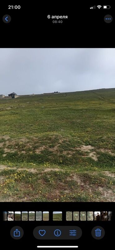 Torpaq sahələrinin satışı: 12 sot, Mülkiyyətçi, Kupça (Çıxarış)
