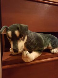 Oyuncaqlar: Oyuncaq İt. Çin istehsalı. Uzunluğu 75 sm. Qiyməti - 50 azn -da lalafo.az — 9 Oyuncaqlar: Oyuncaq İt. Çin istehsalı. Uzunluğu 75 sm. Qiyməti - 50 azn — 9