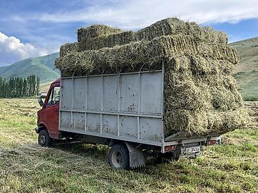 мини трактор куном: Легкий грузовик, Mercedes-Benz, Стандарт, 3 т, Б/у — 3