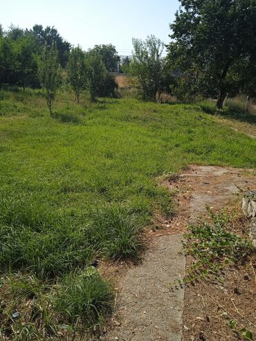 Продажа участков: 20 соток, Для сельского хозяйства — 5