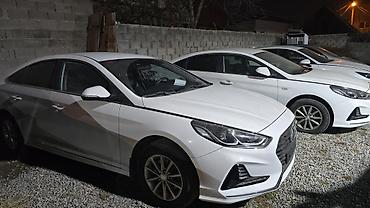 Hyundai: Hyundai Sonata: 2020 г., 2 л, Автомат, Газ, Седан — 4