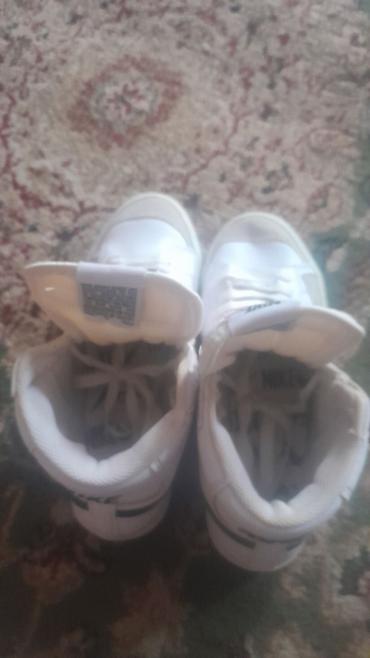 laurel c 35: Мужские кроссовки, 37, Nike, Новый, цвет - Белый, Самовывоз — 3