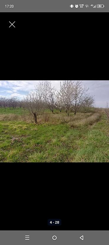 Torpaq sahələrinin satışı: Kənd təsərrüfatı — 3