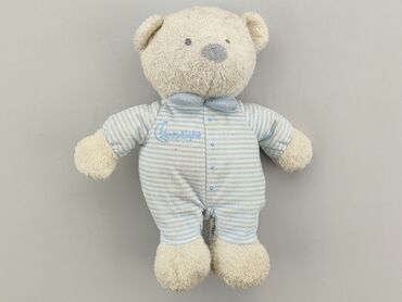 koszulka miś: Mascot Teddy bear, condition - Good