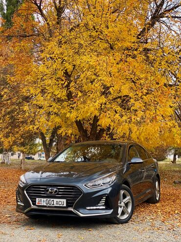 опель вектора а: Hyundai Sonata: 2018 г., 2 л, Автомат, Газ, Седан