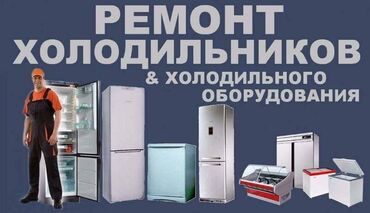 Холодильники, морозильные камеры: Ремонт холодильников. Стаж работы более 20-ти лет. Выезд на дом