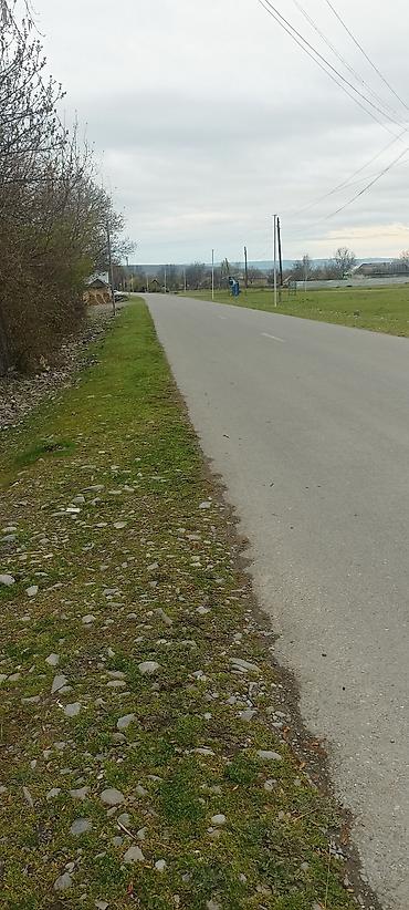 bileceri dasinmaz emlak: Qəbələ, 100 kv. m, 5 otaqlı, Hovuzsuz, İnternet — 2