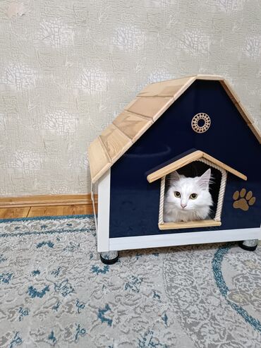 Yuvalar: Ev pişik üçün-70man.her rəngdə.когтеточки 20манат — 13