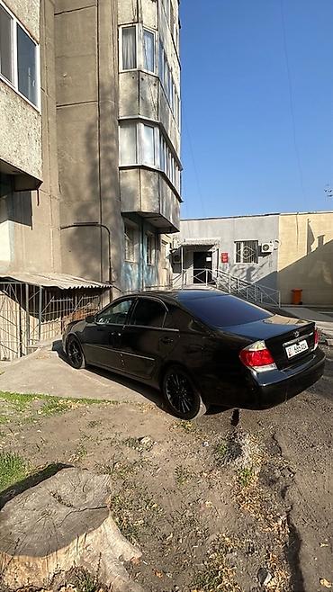 Toyota: Toyota Camry: 2005 г., 2.4 л, Автомат, Бензин, Седан — 4