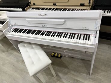 Pianolar: Piano, Avanti, Rəqəmsal, Yeni, Pulsuz çatdırılma — 8