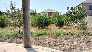 Torpaq sahələrinin satışı: 12 sot, Tikinti, Mülkiyyətçi, Kupça (Çıxarış) — 1