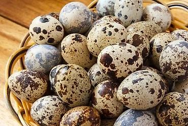 Qida məhsulları: Bildirçin yumurtası 15 qepik yemek üçün ve mayalı texas ve jumbo(çox — 1