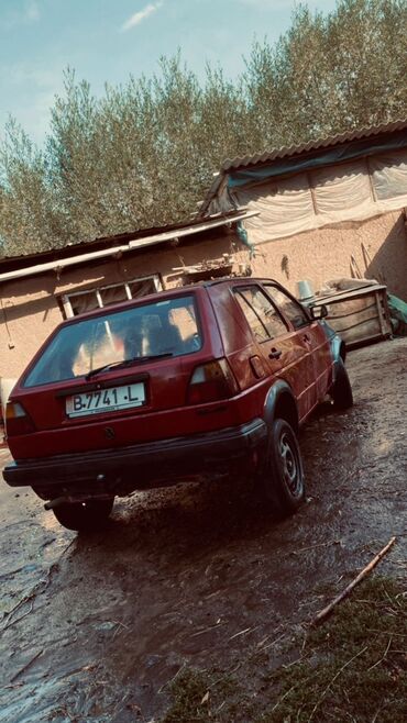 я ищу гольф 2: Volkswagen Golf: 1988 г., 1.8 л, Механика, Бензин