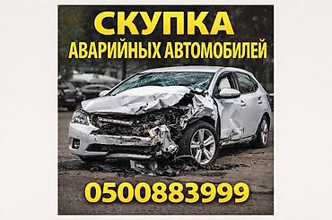 делика разбор: Скупка аварийный состояние скупка авто аварийный состояние скупка авто — 1