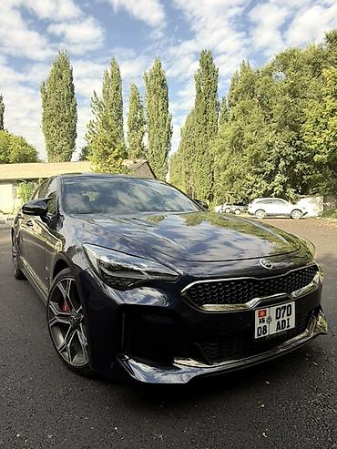 перекурить авто: Kia Stinger: 2020 г., 2 л, Автомат, Бензин, Фастбек — 5