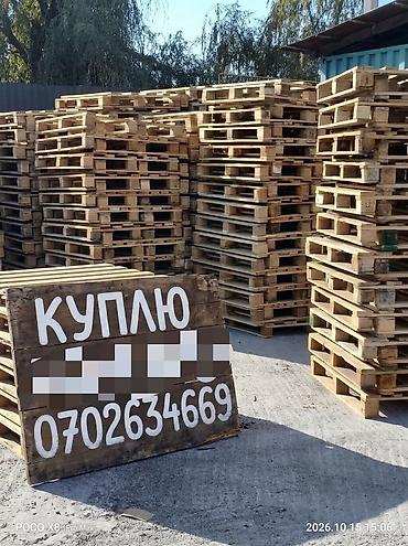 с бизнесом: Куплю паддоны 
паддон сатып алабыз — 1
