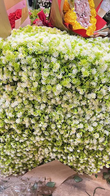 Digər tikinti materialları: Depodan bir basa satis 5$ baslayan dekorlar Topdan ve perakenden satis — 9