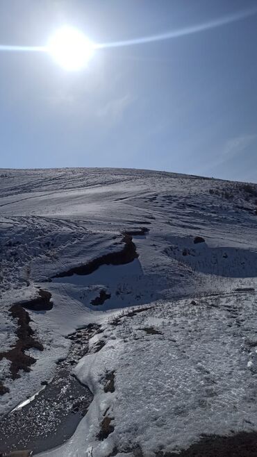 Услуги портера: Заказать Самосвал, Доставка щебня, угля, песка, чернозема, отсев — 17