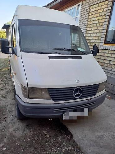 туманник на спринтер: Легкий грузовик, Mercedes-Benz, Стандарт, Б/у — 1
