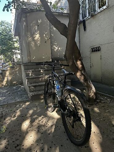 baol velosiped: MTB velosiped – 29” təkərlər, alüminium çərçivə, ön amortizatorlu — 2