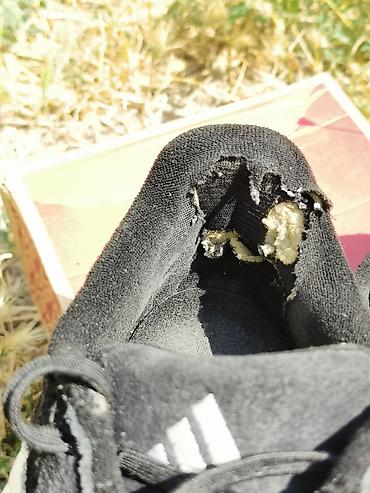 обувь с подогревом: Мужские кроссовки, 42.5, Adidas, Б/у, цвет - Черный — 6