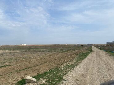 Kommersiya daşınmaz əmlakının satışı: FERMA satılır Pirəkəşkül qəsəbəsində — 8