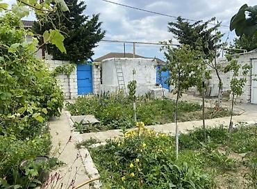 kreditdədir: 3 otaqlı, 70 kv. m, Kredit yoxdur, Yeni təmirli — 1