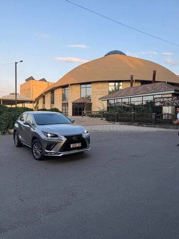 перфорация тормозных дисков: Lexus NX: 2019 г., 2 л, Автомат, Бензин, Кроссовер