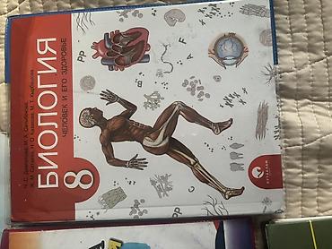 solutions elementary: Русский язык, 4 класс, Б/у, Самовывоз — 4