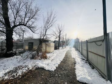 Продажа участков: 24 соток, Красная книга at lalafo.kg — 5 Продажа участков: 24 соток, Красная книга — 5