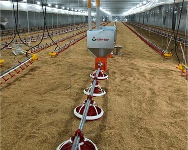 Qidalandırıcılar: Azim Tav Şirkəti sifarişlə quşçuluq fermalarında avto Yem xətləri, Su — 8