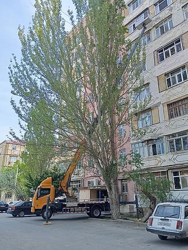 ford 0 km: 32 metrəlik avto səbət — 9