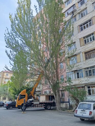 Tikinti texnikasının icarəsi: Avtokran-səbət (avtokran qaldırıcı səbət) ilə yüksəkdə görülən işlər — 9