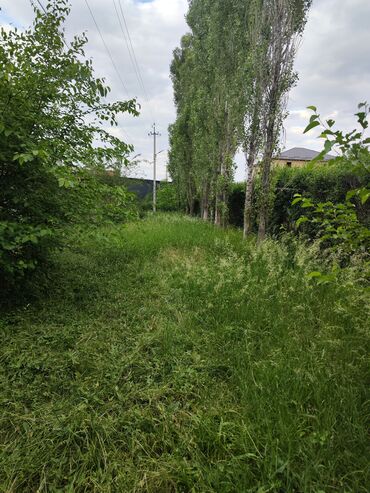 силос в рулонах: Сено трава свежее нужно скасить и забрать