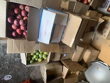 продаю курицу: Яблоки Превосходное, В розницу — 8